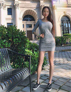寻找麦卡尼
