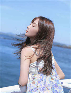 藏海花40集免费观看